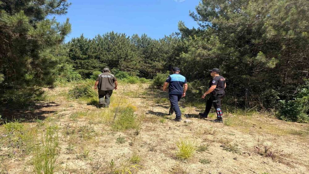 Dilovası’nda orman yangınlarına karşı sıkı denetim