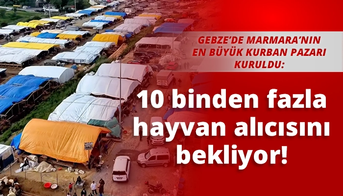 10 binden fazla hayvan alıcısını bekliyor!