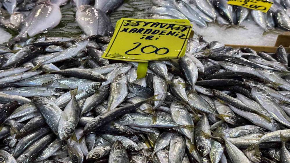 Kocaeli&rsquo;de balık tezgahlarındaki son durum
