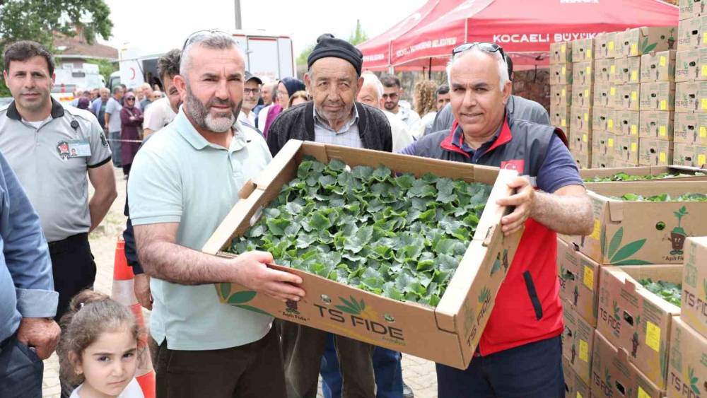 Gebzeli &ccedil;ift&ccedil;iye 500 bin sebze fidesi desteği
