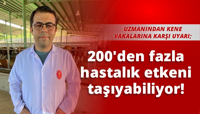 200'den fazla hastalık etkeni taşıyabiliyor!