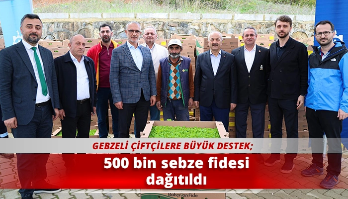 500 bin sebze fidesi dağıtıldı