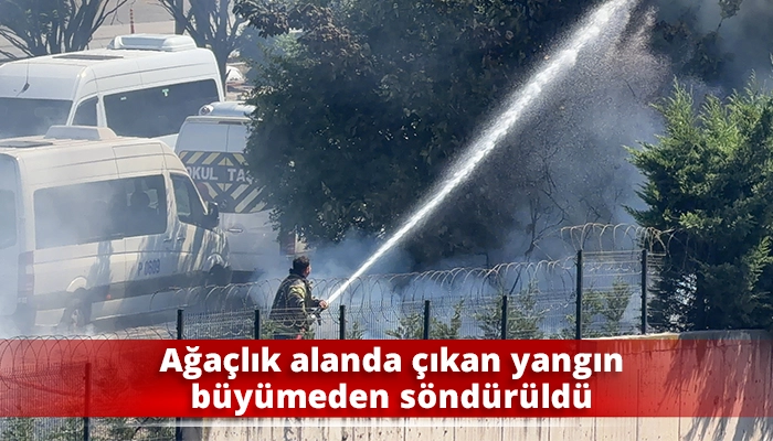 Ağa&ccedil;lık alanda &ccedil;ıkan yangın b&uuml;y&uuml;meden s&ouml;nd&uuml;r&uuml;ld&uuml;