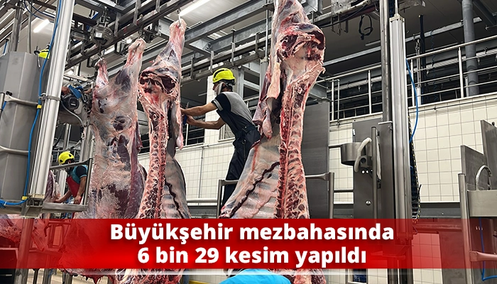 B&uuml;y&uuml;kşehir mezbahasında 6 bin 29 kesim yapıldı