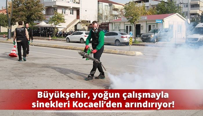 Büyükşehir, yoğun çalışmayla sinekleri Kocaeli’den arındırıyor!