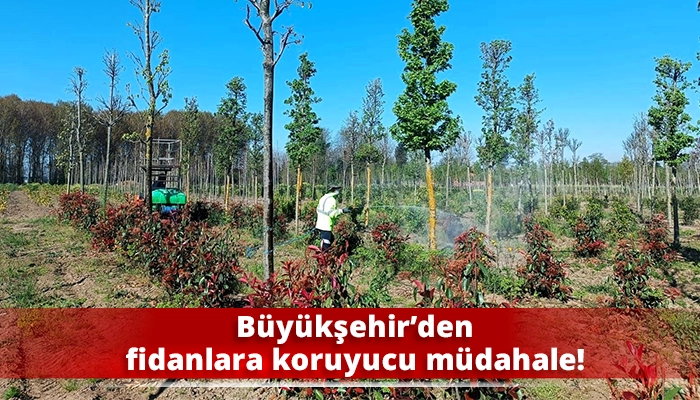 B&uuml;y&uuml;kşehir&rsquo;den fidanlara koruyucu m&uuml;dahale!
