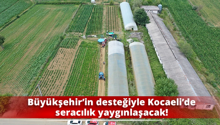 Büyükşehir’in desteğiyle Kocaeli’de seracılık yaygınlaşacak!