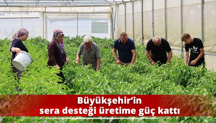 B&uuml;y&uuml;kşehir&rsquo;in sera desteği &uuml;retime g&uuml;&ccedil; kattı