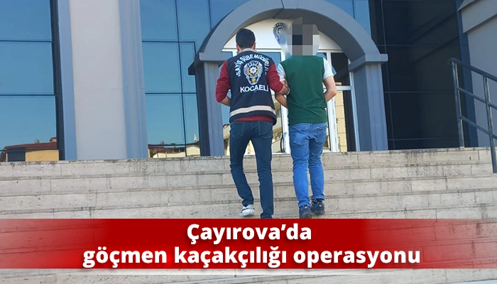 &Ccedil;ayırova&rsquo;da g&ouml;&ccedil;men ka&ccedil;ak&ccedil;ılığı operasyonu