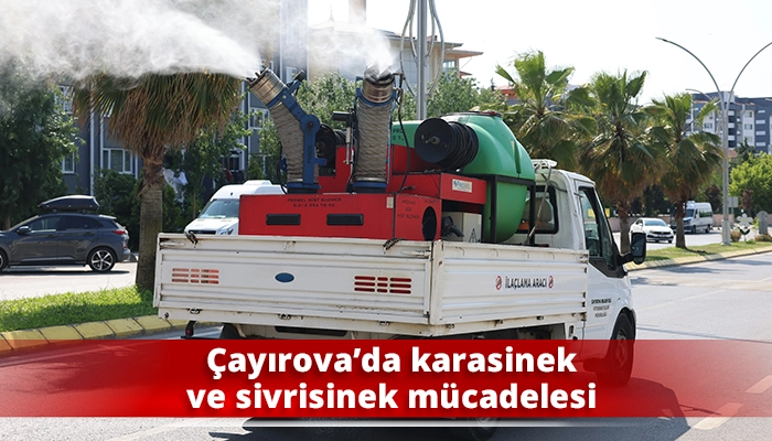 Çayırova’da karasinek ve sivrisinek mücadelesi
