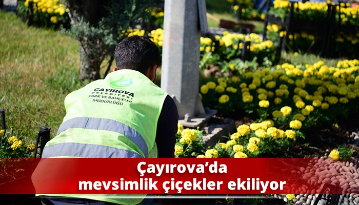&Ccedil;ayırova&rsquo;da mevsimlik &ccedil;i&ccedil;ekler ekiliyor