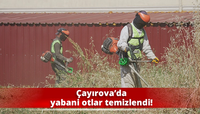 &Ccedil;ayırova&rsquo;da yabani otlar temizlendi!