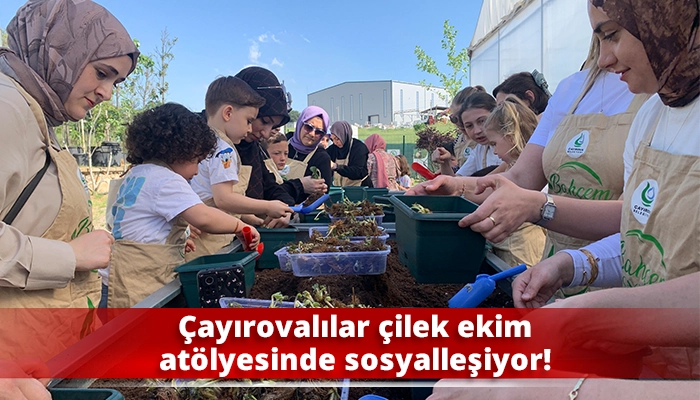 &Ccedil;ayırovalılar &ccedil;ilek ekim at&ouml;lyesinde sosyalleşiyor!