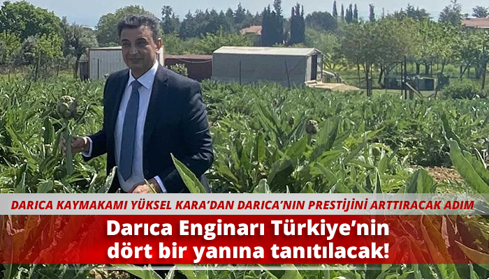 Darıca Enginarı Türkiye’nin dört bir yanına tanıtılacak!