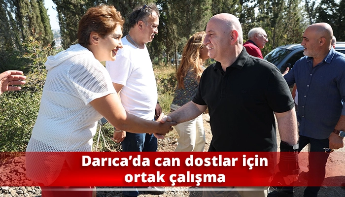 Darıca’da can dostlar için ortak çalışma