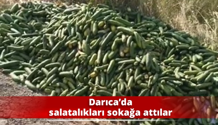 Darıca’da salatalıkları sokağa attılar