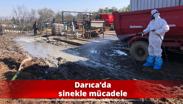 Darıca&rsquo;da sinekle m&uuml;cadele