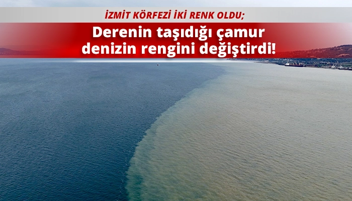 Derenin taşıdığı &ccedil;amur denizin rengini değiştirdi!