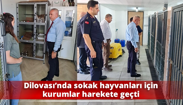 Dilovası&rsquo;nda sokak hayvanları i&ccedil;in kurumlar harekete ge&ccedil;ti