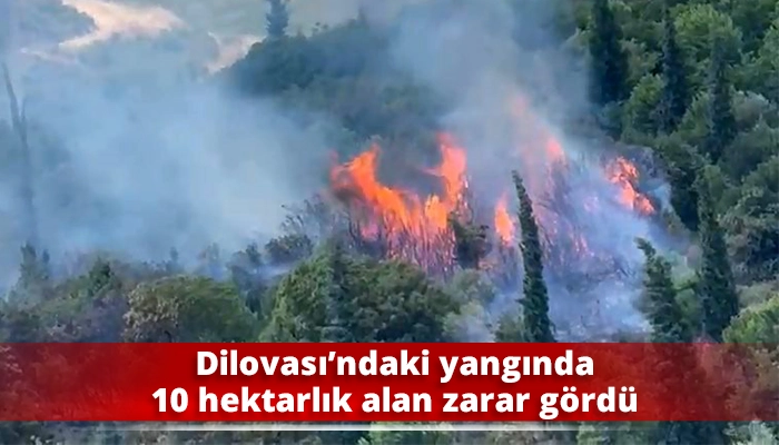 Dilovası&rsquo;ndaki yangında 10 hektarlık alan zarar g&ouml;rd&uuml;