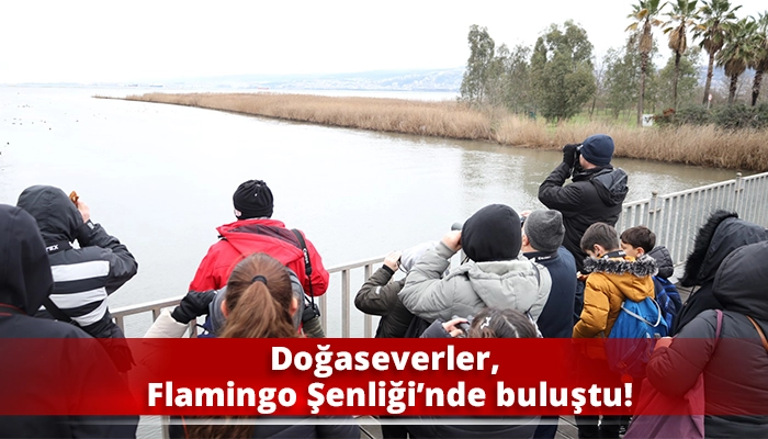 Doğaseverler, Flamingo Şenliği&rsquo;nde buluştu!