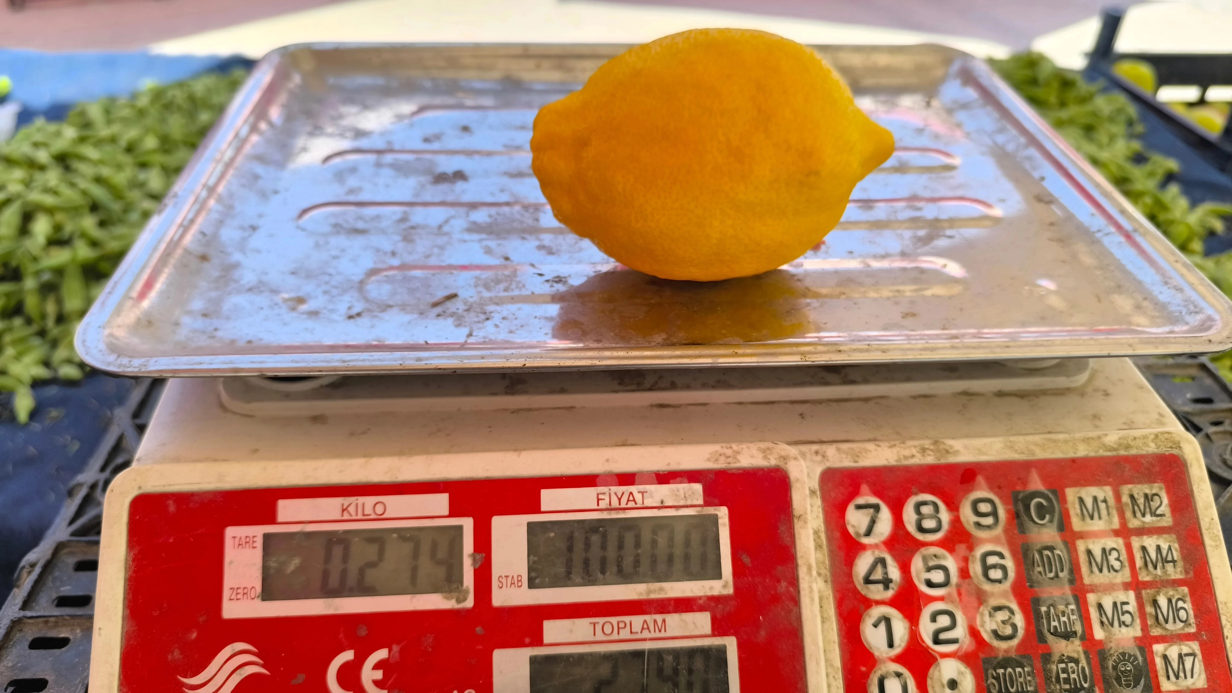 Don felaketi limon fiyatlarını yükseltti!