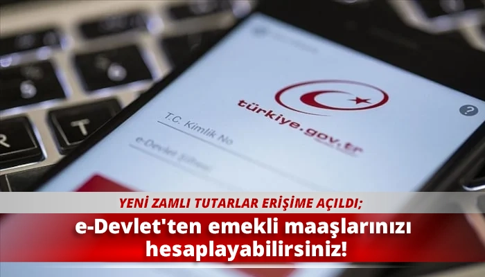 e-Devlet'ten emekli maaşlarınızı hesaplayabilirsiniz!