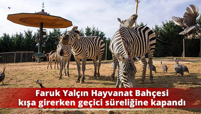 Faruk Yalçın Hayvanat Bahçesi kışa girerken geçici süreliğine kapandı