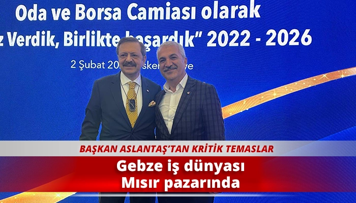 Gebze iş d&uuml;nyası Mısır pazarında