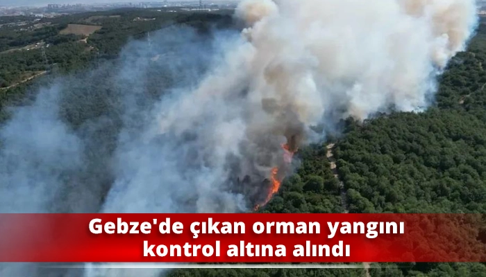Gebze’de çıkan orman yangını kontrol altına alındı