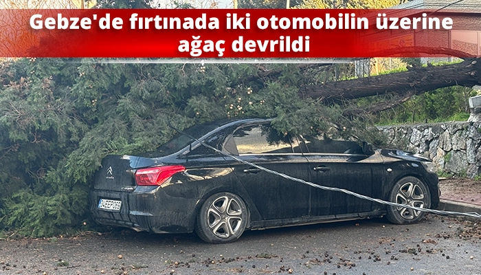 Gebze&rsquo;de fırtınada iki otomobilin &uuml;zerine ağa&ccedil; devrildi