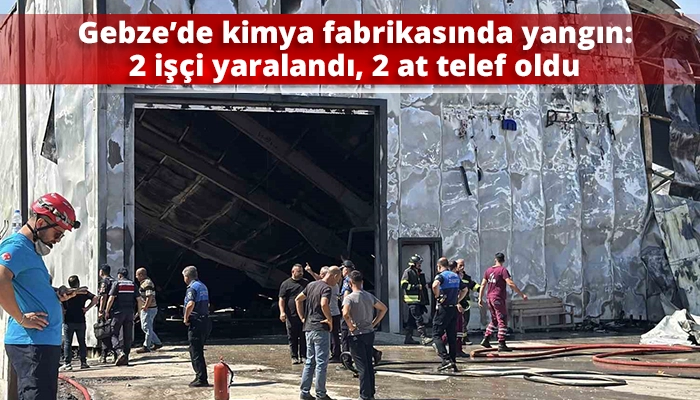 Gebze&rsquo;de kimya fabrikasında yangın: 2 iş&ccedil;i yaralandı, 2 at telef oldu