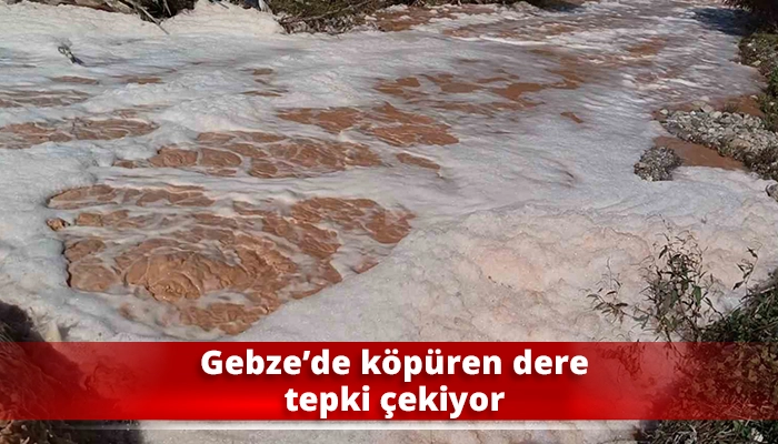Gebze&rsquo;de k&ouml;p&uuml;ren dere tepki &ccedil;ekiyor