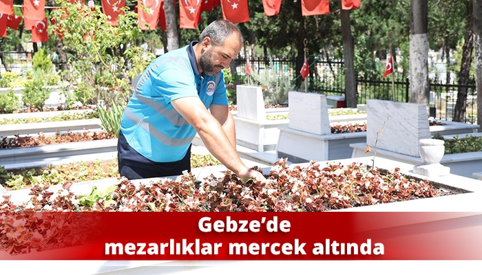 Gebze&rsquo;de mezarlıklar mercek altında
