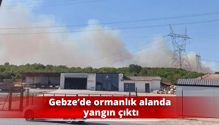 Gebze’de ormanlık alanda yangın çıktı
