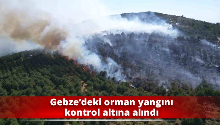Gebze’deki orman yangını kontrol altına alındı