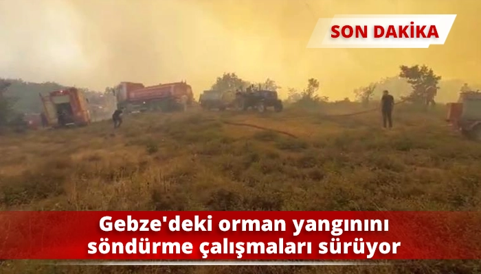 Gebze’deki orman yangınını söndürme çalışmaları sürüyor