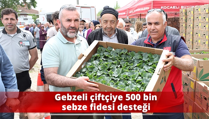 Gebzeli &ccedil;ift&ccedil;iye 500 bin sebze fidesi desteği