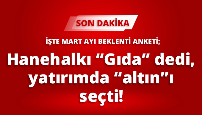 Hanehalkı &ldquo;Gıda&rdquo; dedi, yatırımda &ldquo;altın&rdquo;ı se&ccedil;ti!
