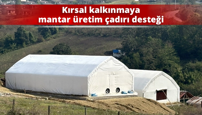 Kırsal kalkınmaya mantar &uuml;retim &ccedil;adırı desteği
