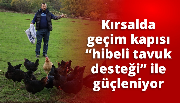 Kırsalda geçim kapısı “hibeli tavuk desteği” ile güçleniyor