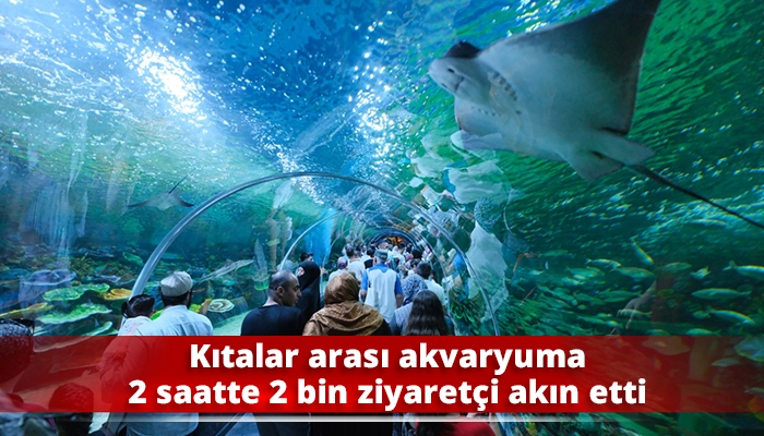 Kıtalar arası akvaryuma 2 saatte 2 bin ziyaret&ccedil;i akın etti