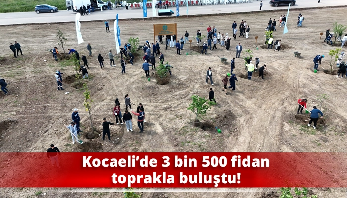 Kocaeli’de 3 bin 500 fidan toprakla buluştu!