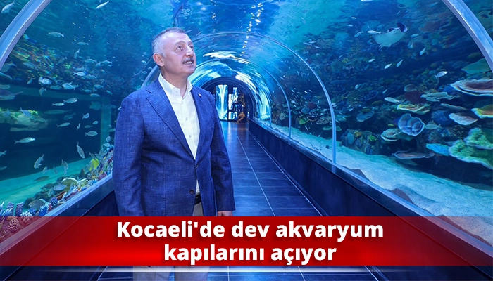 Kocaeli'de dev akvaryum kapılarını a&ccedil;ıyor
