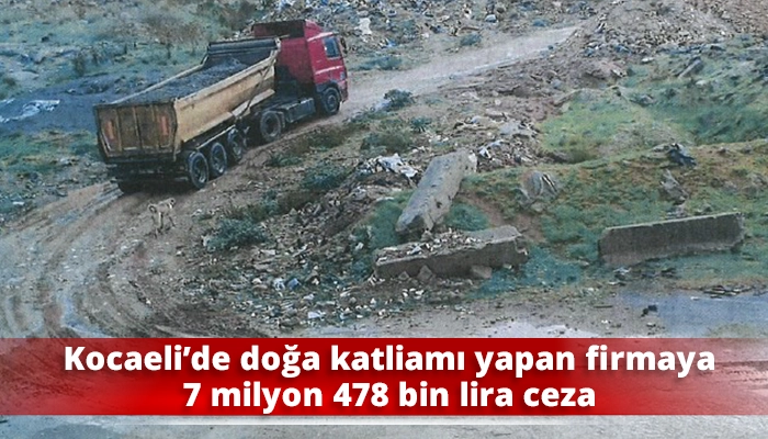 Kocaeli’de doğa katliamı yapan firmaya 7 milyon 478 bin lira ceza