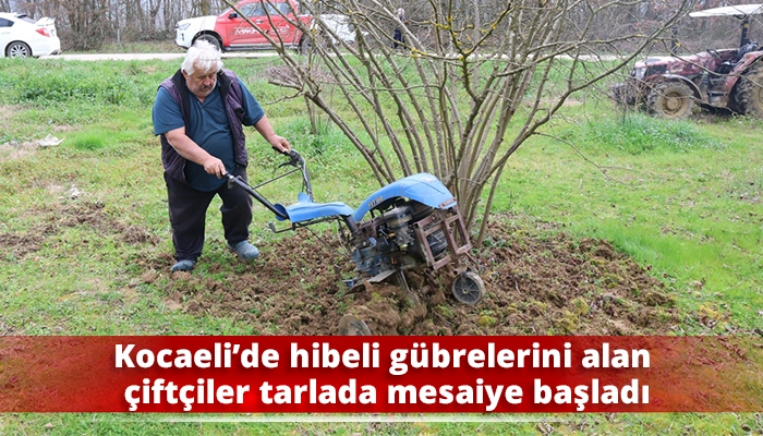 Kocaeli&rsquo;de hibeli g&uuml;brelerini alan &ccedil;ift&ccedil;iler tarlada mesaiye başladı