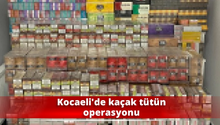 Kocaeli'de kaçak tütün operasyonu