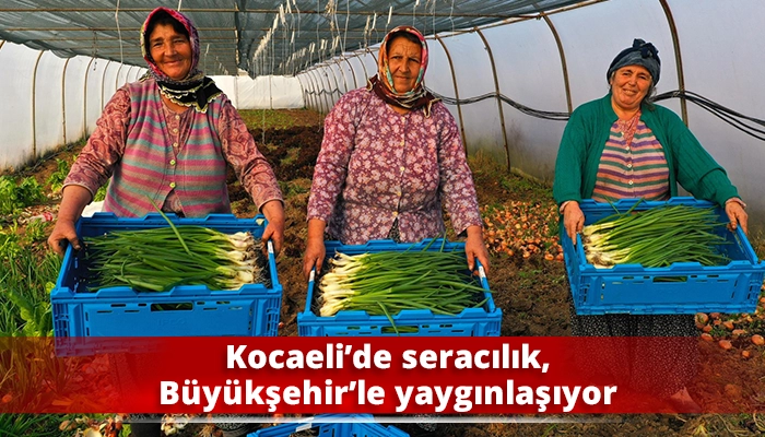 Kocaeli&rsquo;de seracılık, B&uuml;y&uuml;kşehir&rsquo;le yaygınlaşıyor
