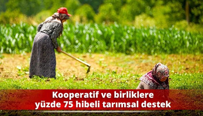Kooperatif ve birliklere y&uuml;zde 75 hibeli tarımsal destek