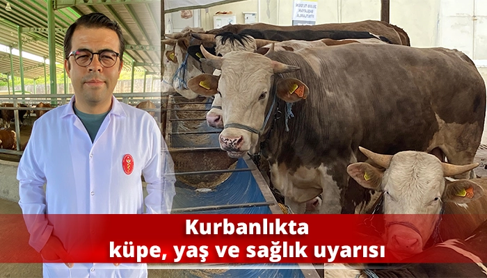 Kurbanlıkta küpe, yaş ve sağlık uyarısı